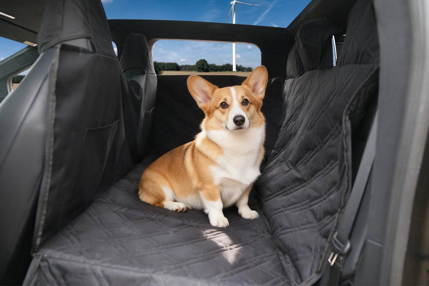Cybertruck Owners Rejoice: Hansshow Unveils Game-Changing Waterproof Pet Mat for Adventurous Dogs